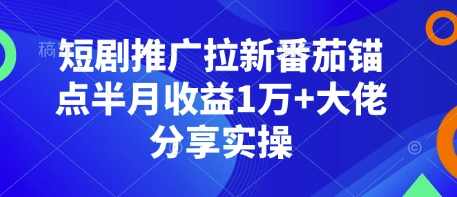 短剧推广拉新番茄锚点半月收益1万+大佬分享实操-小何资源库