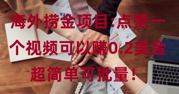海外捞金项目点赞一个视频可以赚0.2美金，超简单可批量!-小何资源库