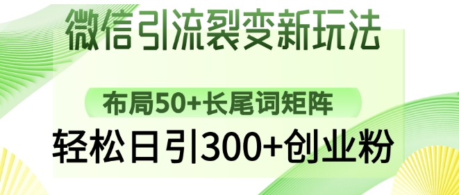 微信引流裂变新玩法：布局50+长尾词矩阵，轻松日引300+创业粉-小何资源库