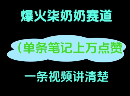 小红书爆火柒奶奶，13 天涨粉 8.7 W，全流程拆解-小何资源库