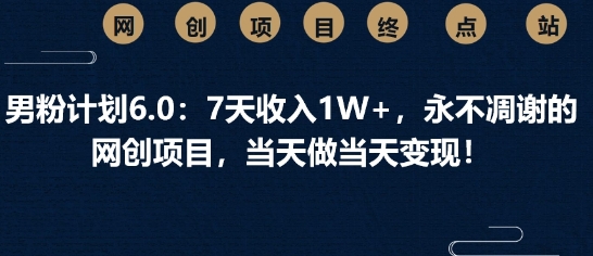 男粉计划6.0：7天收入1W+，永不凋谢的网创项目，当天做当天变现-小何资源库