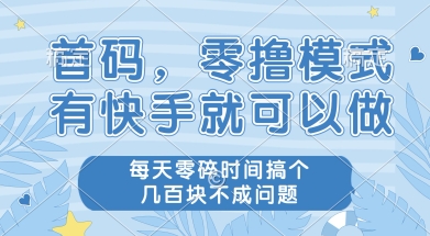 首码零撸项目，有快手就可以做，每天业务时间搞个几张不是问题【揭秘】-小何资源库