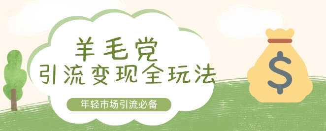 羊毛党引流变现全玩法，年轻市场引流必备-小何资源库