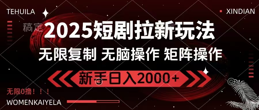 （14429期）2025短剧拉新玩法，无需注册登录，无限0撸，无脑批量操作日入2000+-小何资源库