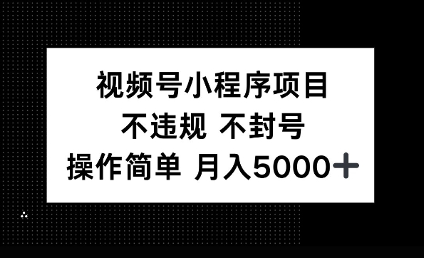 视频号小程序项目，不违规不封号，操作简单 月入5000+-小何资源库