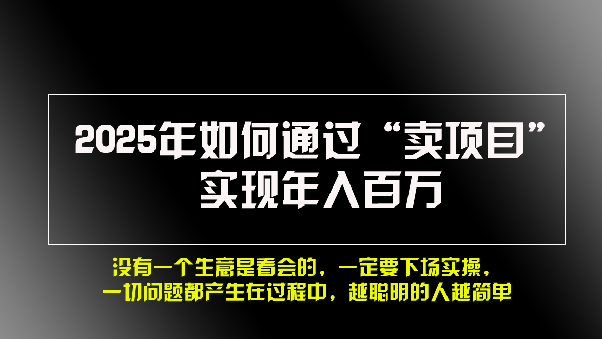 （13468期）2025年如何通过“卖项目”实现年入百万，做网赚必看！！-小何资源库