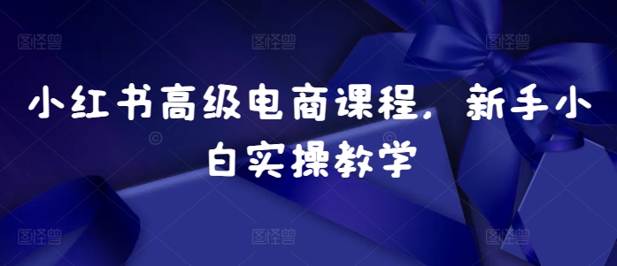 小红书高级电商课程，新手小白实操教学-小何资源库