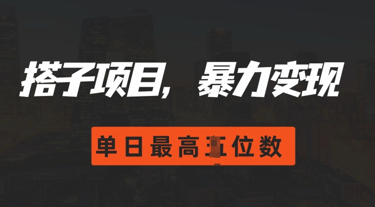 2024搭子玩法，0门槛，暴力变现，单日最高破四位数【揭秘】-小何资源库