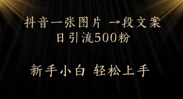 每天2分钟，抖音一张图片 一段文案日引流500粉-小何资源库