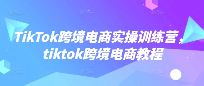 TikTok跨境电商实操训练营，tiktok跨境电商教程-小何资源库