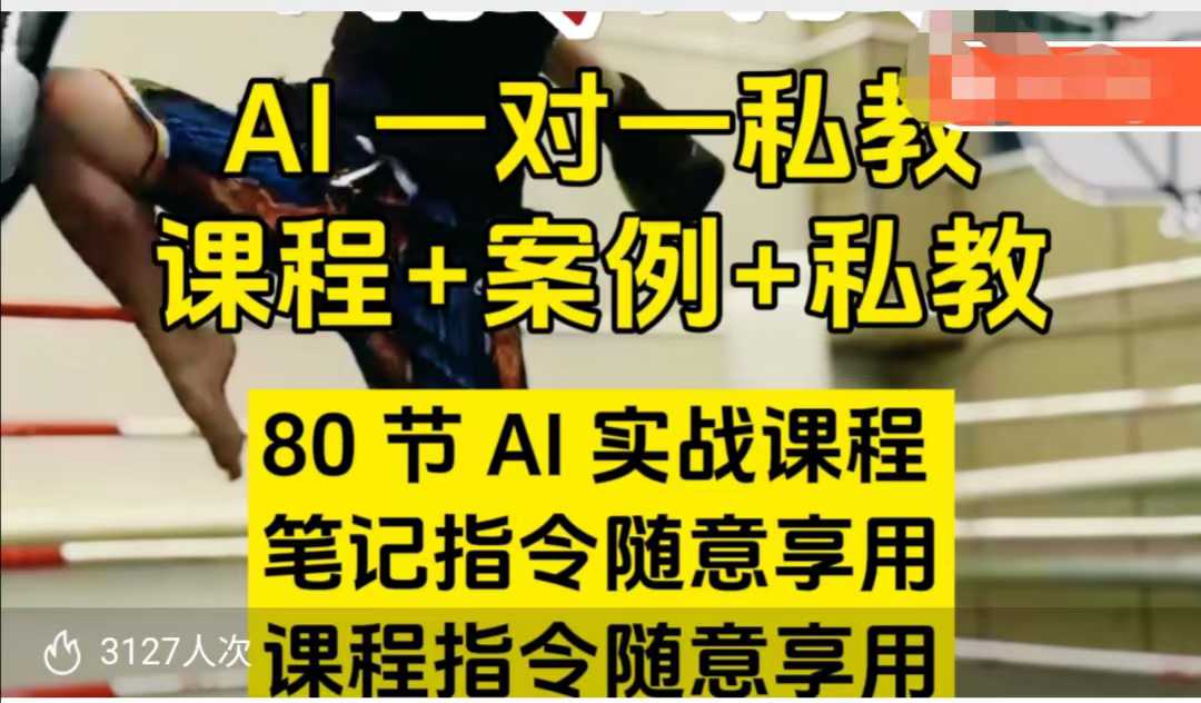 AI指令实战课，课程+案例，80节AI实战课程，笔记指令随意享用，课程指令随意享用-小何资源库