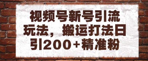 视频号新号引流玩法，搬运打法日引200+精准粉，可矩阵放大【揭秘】-小何资源库