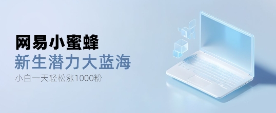 网易小蜜蜂，最新大蓝海项目，单日轻松日涨千粉-小何资源库