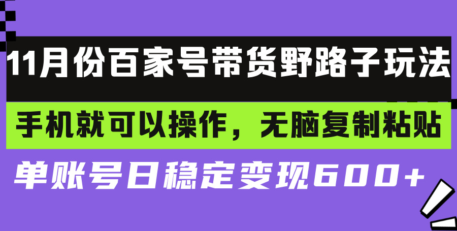 （13281期）百家号带货野路子玩法 手机就可以操作，无脑复制粘贴 单账号日稳定变现…-小何资源库