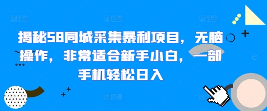揭秘58同城采集暴利项目，无脑操作，非常适合新手小白，一部手机轻松日入-小何资源库