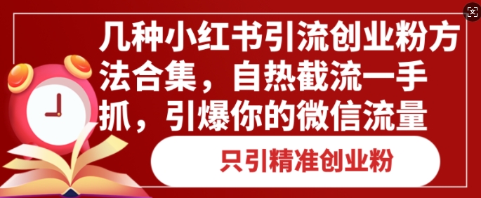 几种小红书引流创业粉方法合集，自热截流一手抓，引爆你的微信流量-小何资源库
