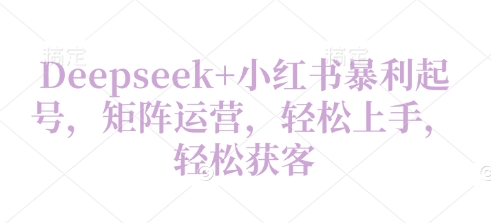 Deepseek+小红书暴利起号，矩阵运营，轻松上手，轻松获客-小何资源库