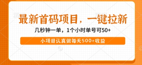 最新首码项目，操作最简单，收益高，一键拉新，1个小时单号可50+，小项目认真做每天5张+收益【揭秘】-小何资源库