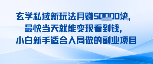 玄学私域新玩法月入1W+，最快当天就能变现看到米，小白新手适合入局做的副业项目-小何资源库
