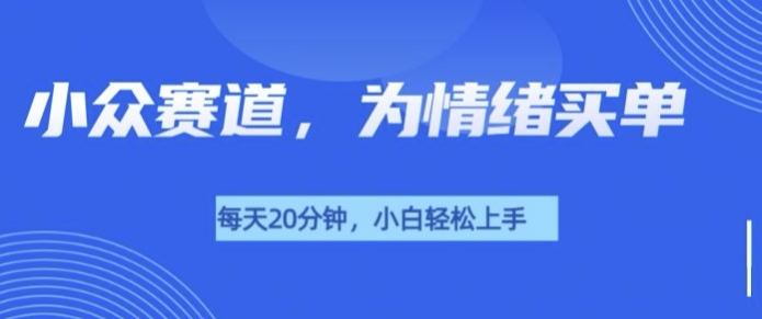 小众赛道，我的治愈系电子抱枕，让用户为情绪买单-小何资源库