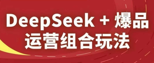 DeepSeek+爆品运营组合玩法，2025淘系精品课-小何资源库