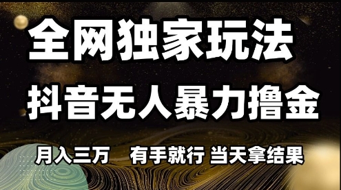 全网独家玩法抖音无人暴力撸金，月入3W，有手就行，当天拿结果【揭秘】-小何资源库