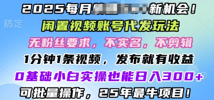2025闲置视频账号一键代发玩法，0粉不实名不剪辑，领了视频直接发，0基础小白也能日入3张-小何资源库