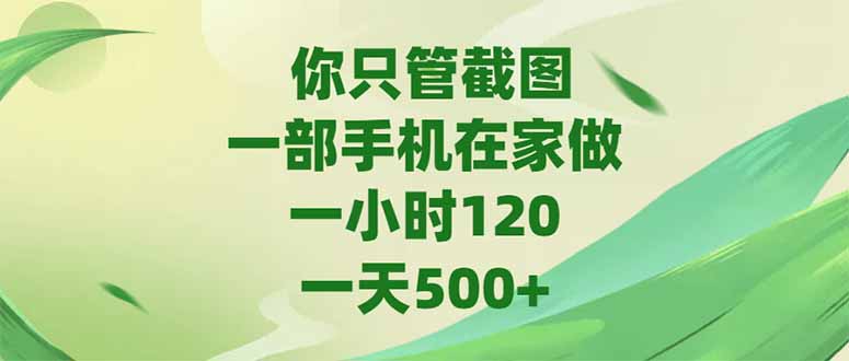 （15039期）你只管截图，一部手机在家做，一小时120，-天500+-小何资源库