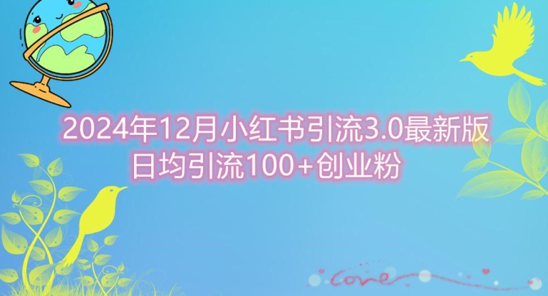 2024年12月小红书引流最新版，日均引流100+创业粉-小何资源库