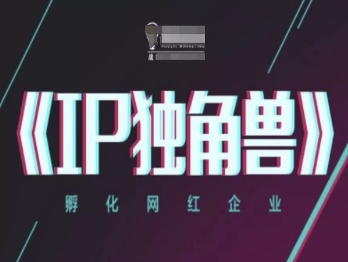IP独角兽，孵化网红企业，ip教程-小何资源库
