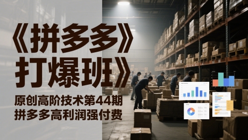 《拼多多打爆班》原创高阶技术第44期，拼多多高利润强付费-小何资源库