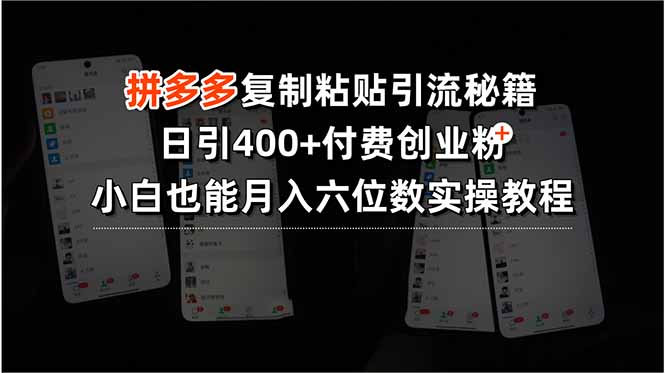 （15613期）拼多多复制粘贴引流秘籍，日引400+付费创业粉，小白也能月入六位数实操…-小何资源库