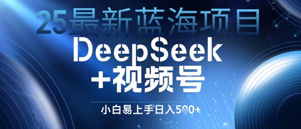 25最新蓝海项目DeepSeek+视频号，小白易上手日入几张-小何资源库