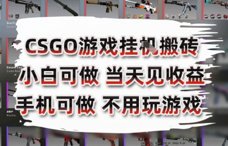 CSGO游戏挂G搬砖，小白纯手机即可操作，不用电脑打游戏，日入3张+，副业网创项目【揭秘】-小何资源库