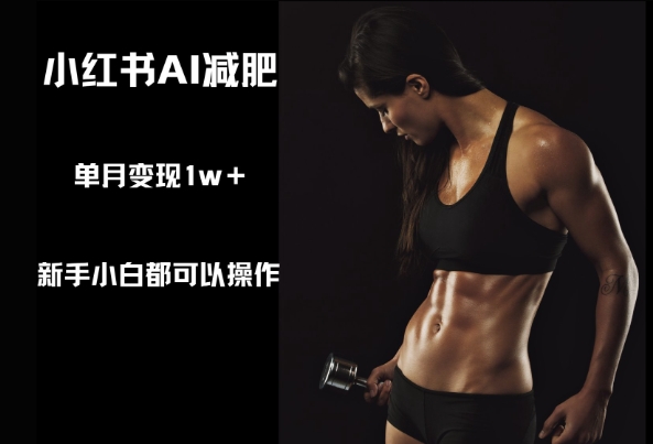 小红书AI减肥，新手小白都可以操作，单月变现1w+-小何资源库