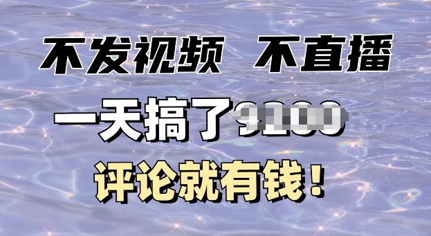 不发作品不直播，评论就有钱，一条最高10块，一天搞多张-小何资源库