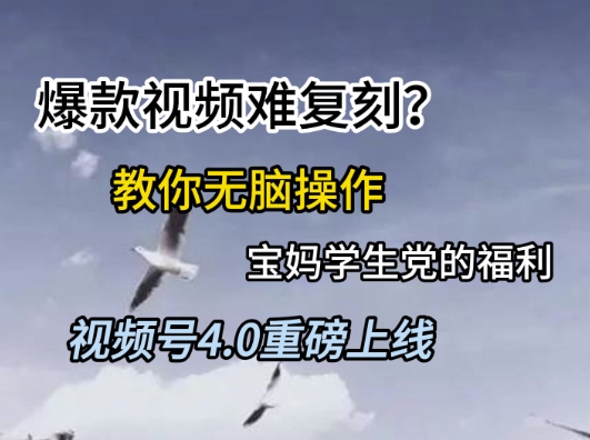 视频号4.0重磅上线，爆款视频难复刻？教你无脑操作宝妈学生党的福利【揭秘】-小何资源库