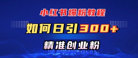 小红书爆粉教程，如何日引300+创业粉，快速实现精准变现-小何资源库