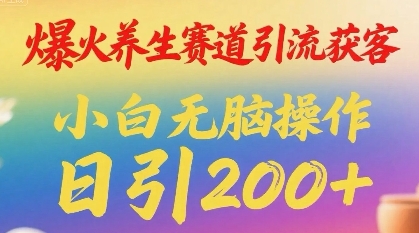 爆火养生赛道引流获客，小白无脑操作，日引200+-小何资源库