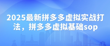 2025最新拼多多虚拟实战打法，拼多多虚拟基础sop-小何资源库