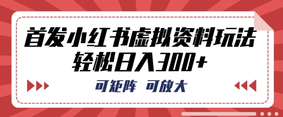 首发小红书虚拟资料玩法，可矩阵，可放大，轻松日入3张-小何资源库