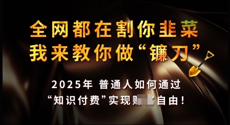 知识付费如何做到月入过W+，2025我来教你做“镰刀”【揭秘】-小何资源库