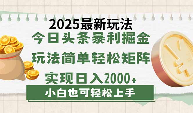 （14120期）今日头条2025最新玩法，思路简单，复制粘贴，轻松实现矩阵日入2000+-小何资源库