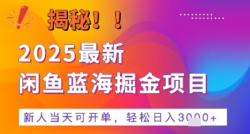 2025最新闲鱼蓝海掘金项目，新人当天可开单，轻松日入多张+的保姆级教程-小何资源库