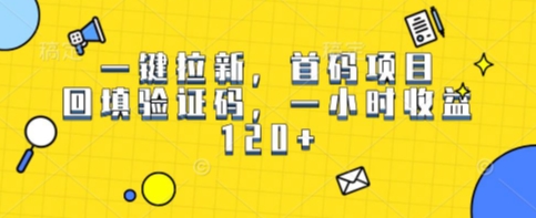 一键拉新，首码项目，回填验证码，一小时收益1张-小何资源库