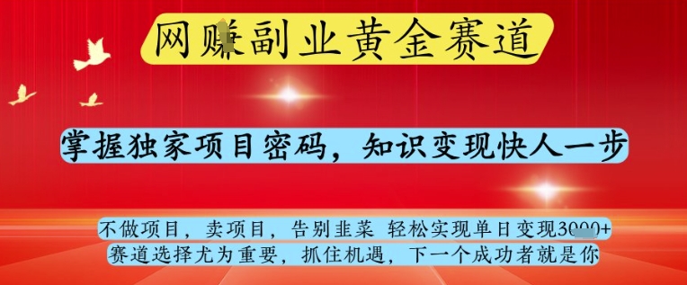 网创副业黄全赛道，掌握独家项目密码，知识变现快人一步，告别韭菜轻松实现单日变现1k+【揭秘】-小何资源库