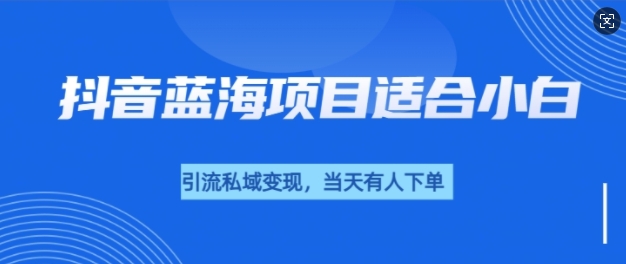 抖音蓝海小赛道私域变现项目，单价9.9单天变现100+，实操玩法分享给你-小何资源库