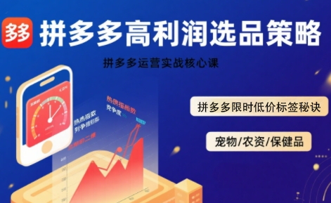 拼多多选品暴利技术实战课，拼多多高利润选品策略，拼多多限时低价标签秘诀-小何资源库