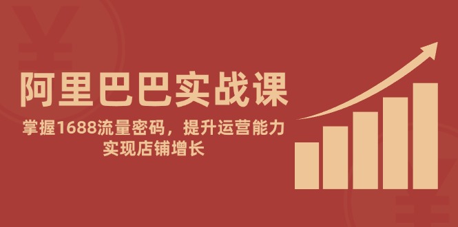 （14830期）阿里巴巴实战课：掌握1688流量密码，提升运营能力，实现店铺增长-小何资源库