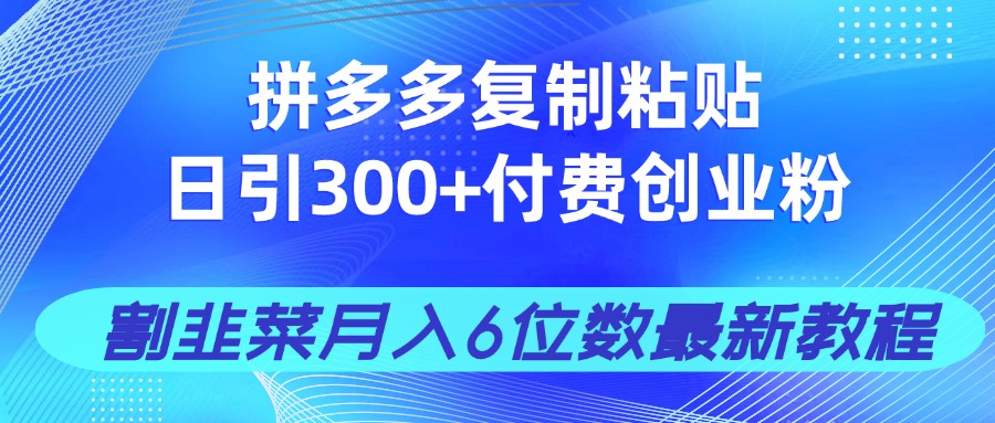 （14232期）拼多多复制粘贴日引300+付费创业粉，割韭菜月入6位数最新教程！-小何资源库